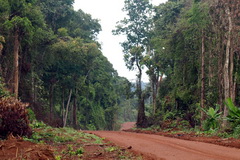 Bu Gia Map National Park